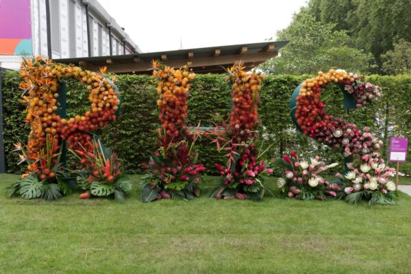 Chelsea Flower Show 2025: i giardini più innovativi e green