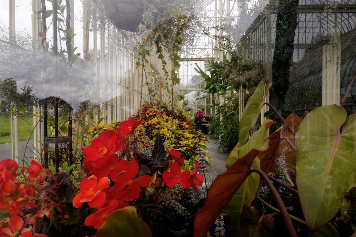 Orto botanico di Dublino - ph Cristina Archinto - Terrimago
