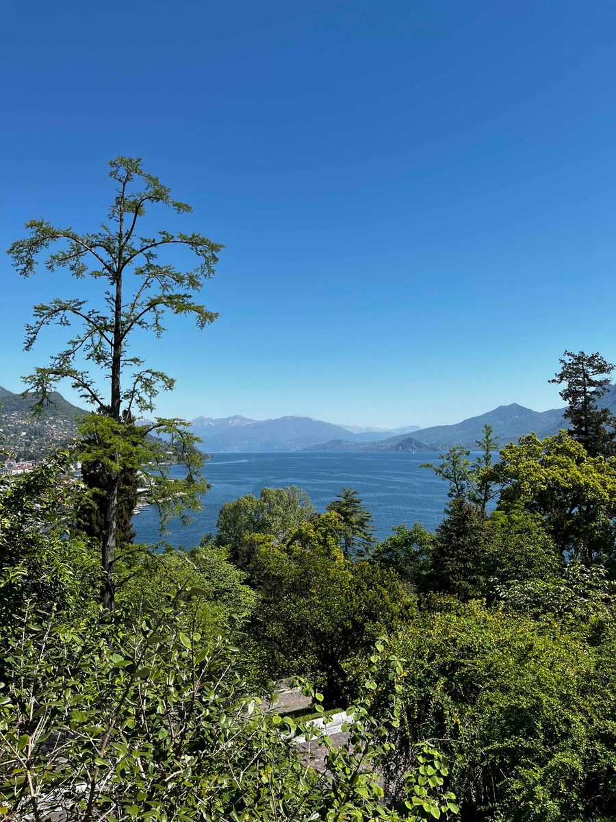 Vista sul Lago Maggiore
