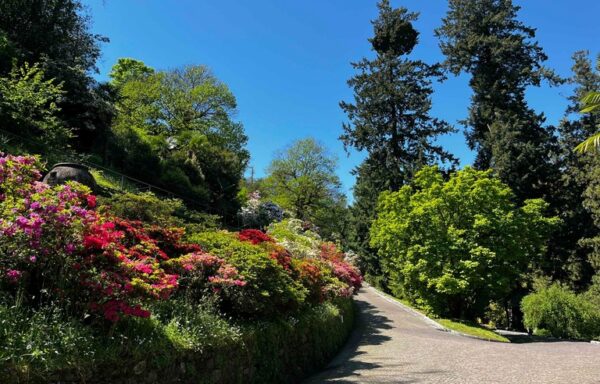 Villa Taranto, il giardino botanico sul Lago Maggiore