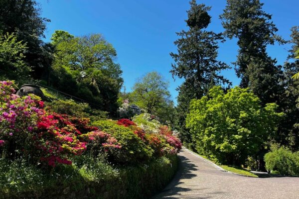 Villa Taranto, il giardino botanico sul Lago Maggiore