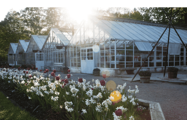 Rosendals Trädgård, il giardino sostenibile di Stoccolma