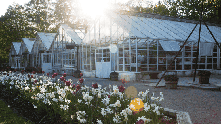 Le serre di Rosendals (Svezia) a primavera -foto Katja Halvarsson
