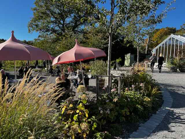 Rosendals Tradgard giardino con sole e ombrellone